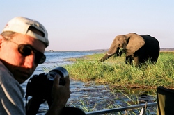 Riverfront - Chobe National Park - Botswana