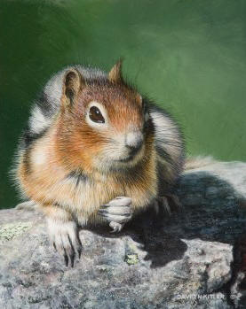 Golden-Mantled Ground Squirrel