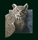 David N. Kitler Owl Logo