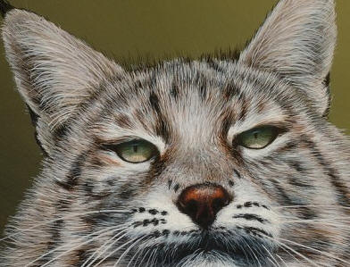 Detail of "Lynx II"