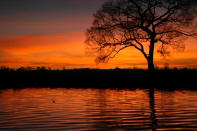 Sunset in the Pantanal