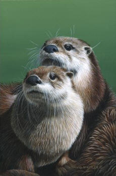 Otters