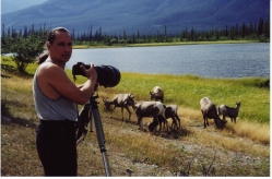 Rocky Mountains - Jasper