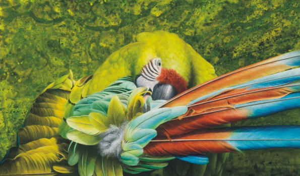 Preening Green
