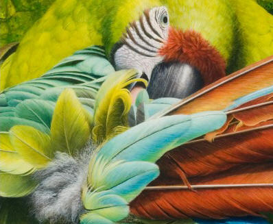Detail of "Preening Green"