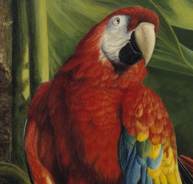 Detail of "Scarlet over Green"