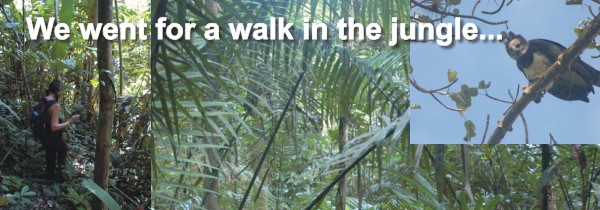 Darien Jungle - Panama