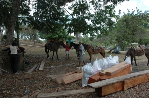 Five horses needed to carry supplies to the village of Llano Bonito
