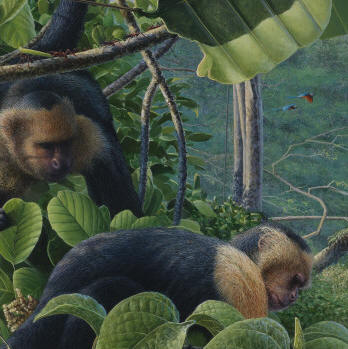 Rainforest Canopy (detail)